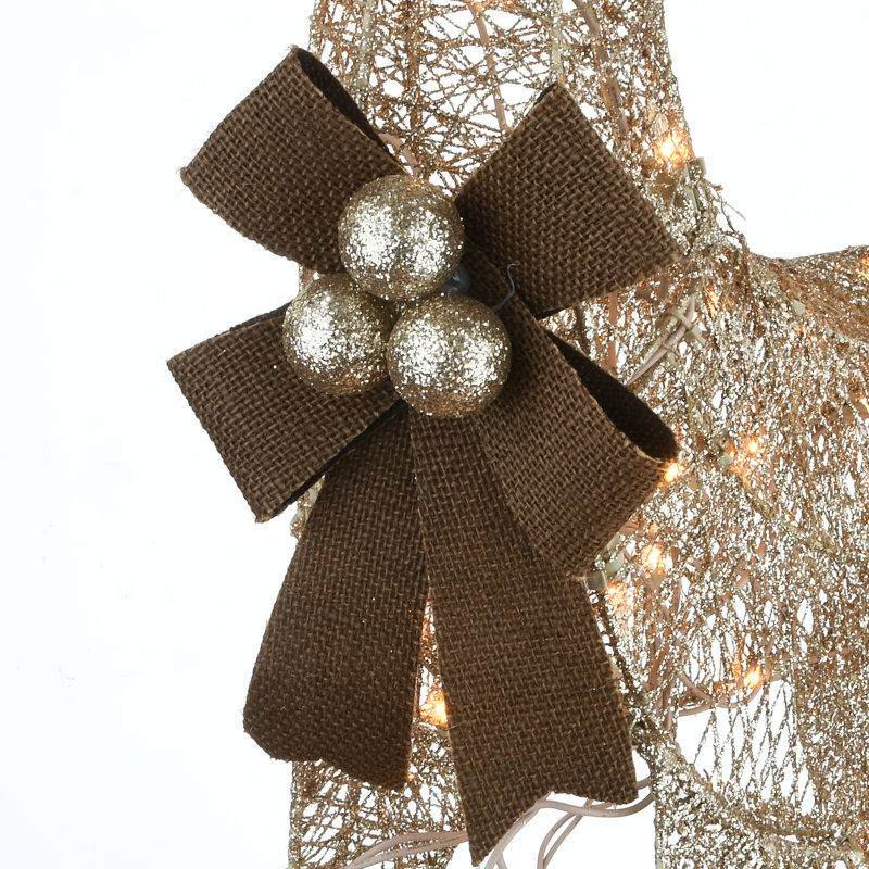 The Holiday Aisle® Fawn with Doe with LED Lights