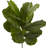 Fiddle Leaf Tree UV Resistant (Indoor/Outdoor)-23857188