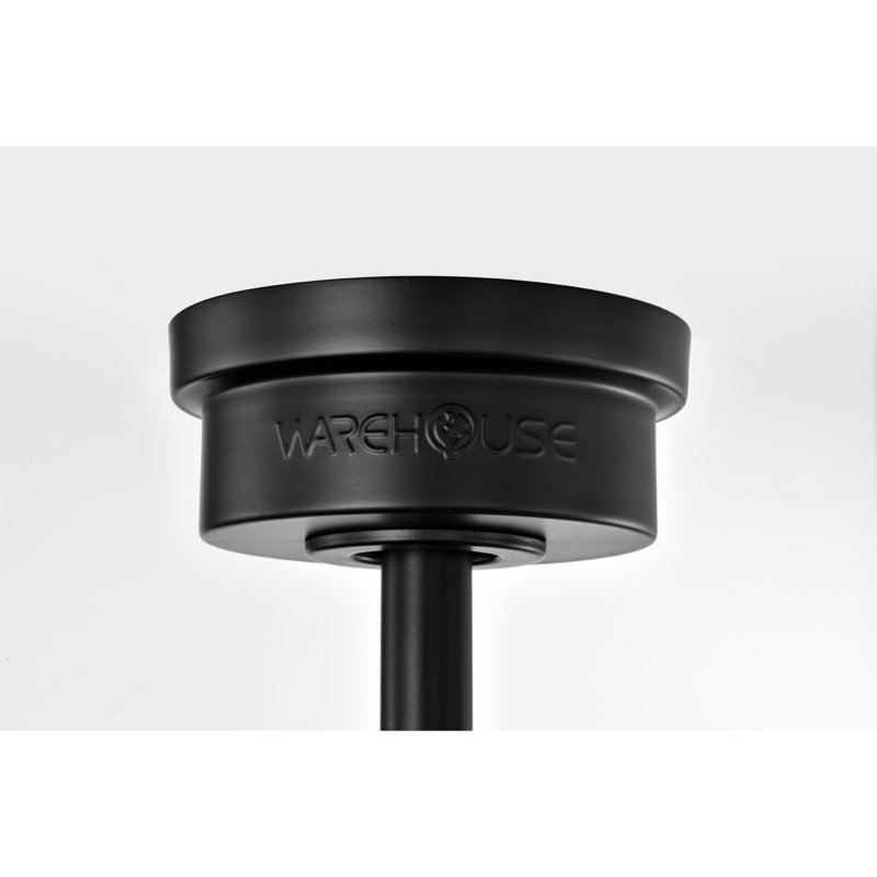 Ventilateur de plafond noir mat avec télécommande Luo