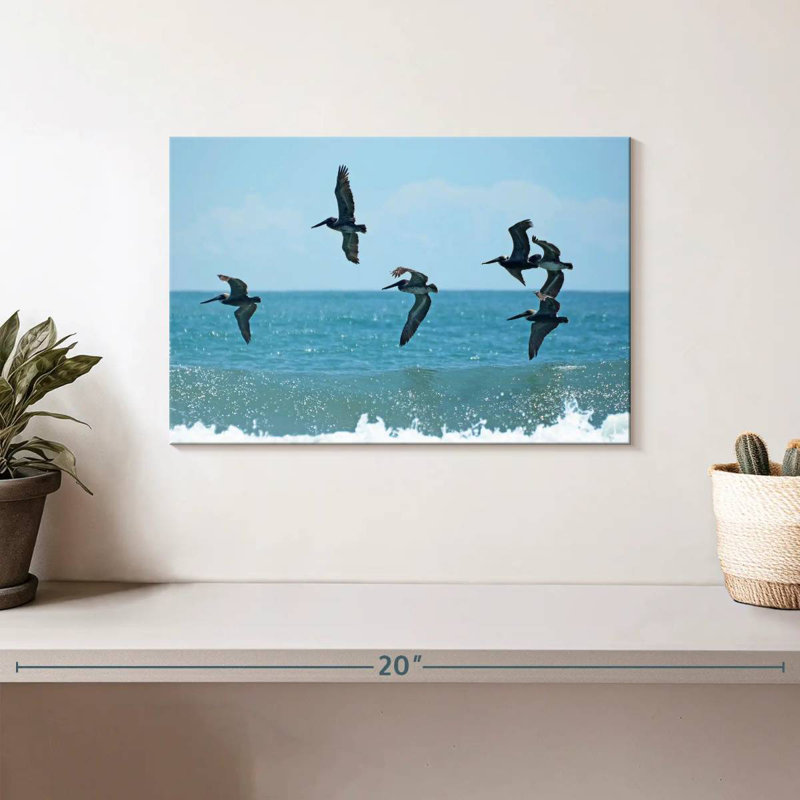 Pelican I, 8" H x 12" W