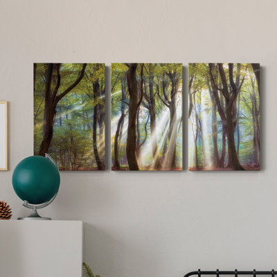 " Majestic Morning " 3 - Pieces