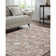 Alayo Machine Woven Area Rug