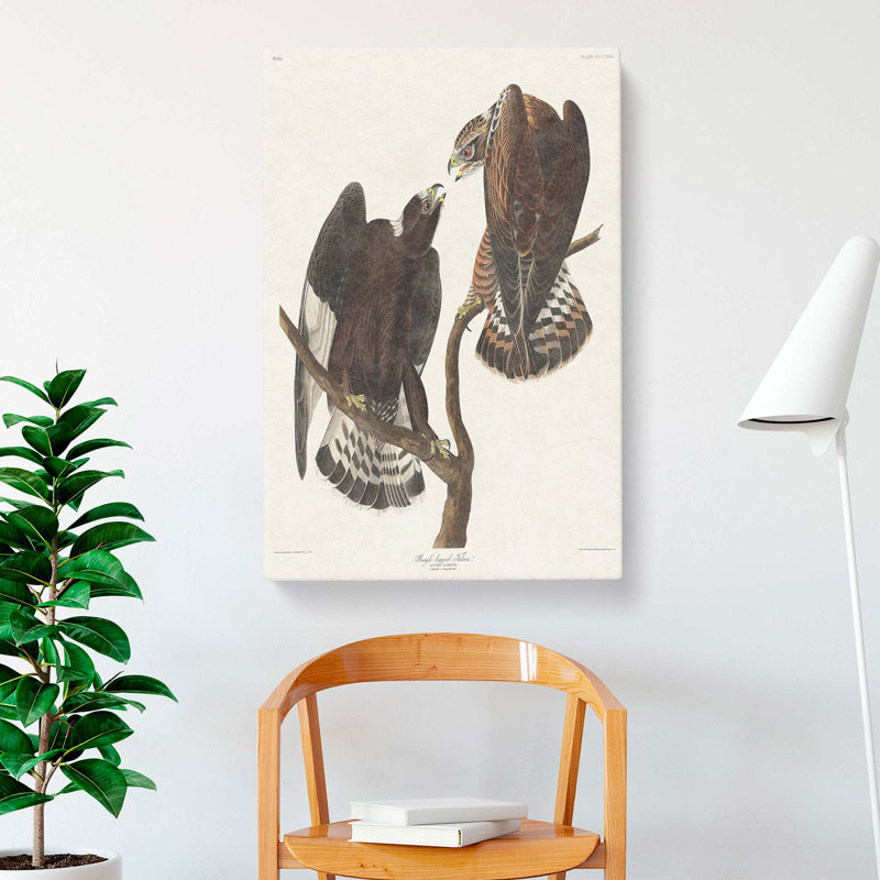 Rough-Legged Falcons by John Audubon - Wrapped Canvas Painting, 60cm H x 40cm W x 3cm D