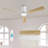 2pcs 52 Inch Ceiling Fan With Light-604357822