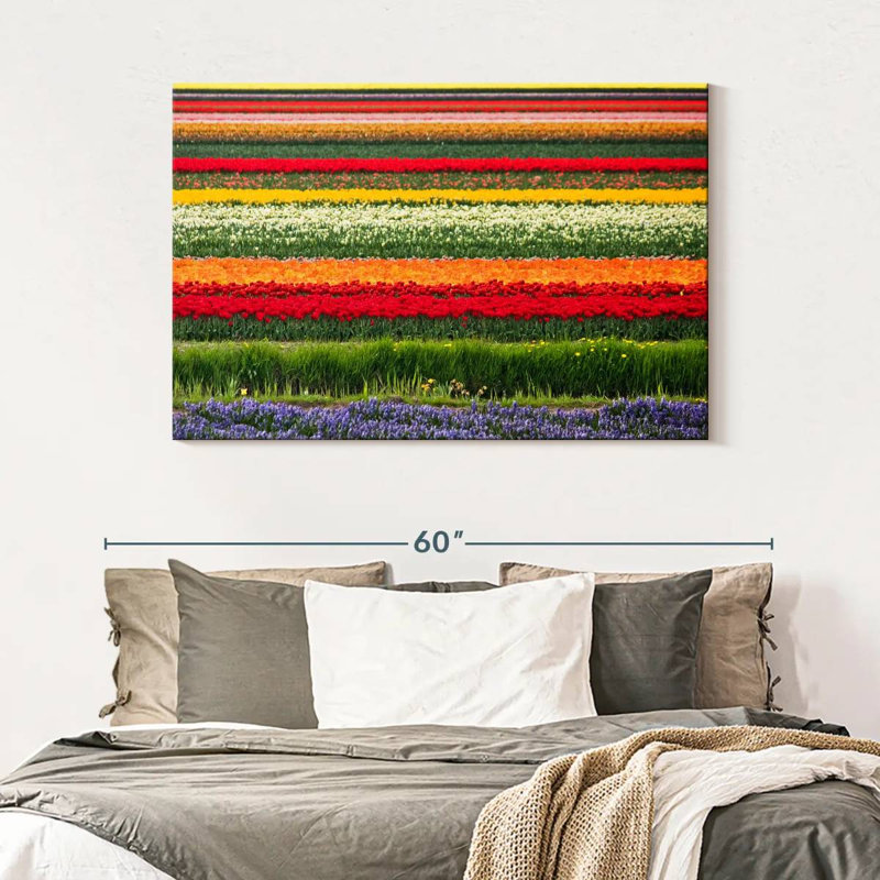Rorry Bollenstreek Tulips, 32" H x 48" W