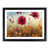 Black Framed selected