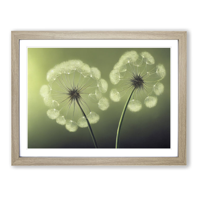 Soulful Dandelion Flowers - Single Picture Frame Print, 34cm H x 46cm W x 2cm D, Oak