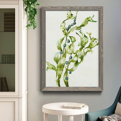 " Sea Grapes "