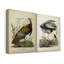 Toile tendue de qualité supérieure Audubon Wild Turquie - prête à être accrochée-796763526
