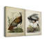 Toile tendue de qualité supérieure Audubon Wild Turquie - prête à être accrochée-796763642