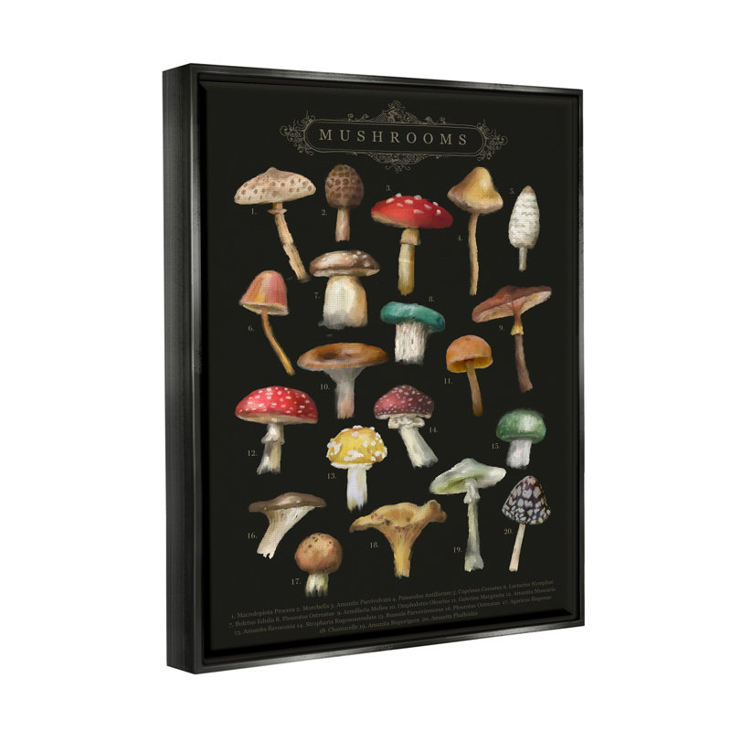 "Dark informative champignon graphique" par Amylee Week, impression, Cadre flottant noir de jais