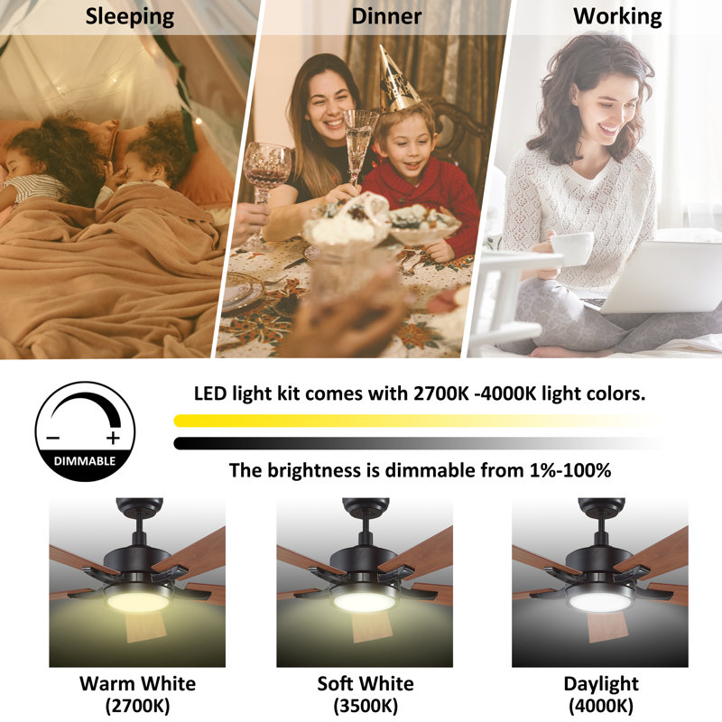 56'' Apex 5 Blades LED Smart Ceiling Fan With Remote Control and Light Kit