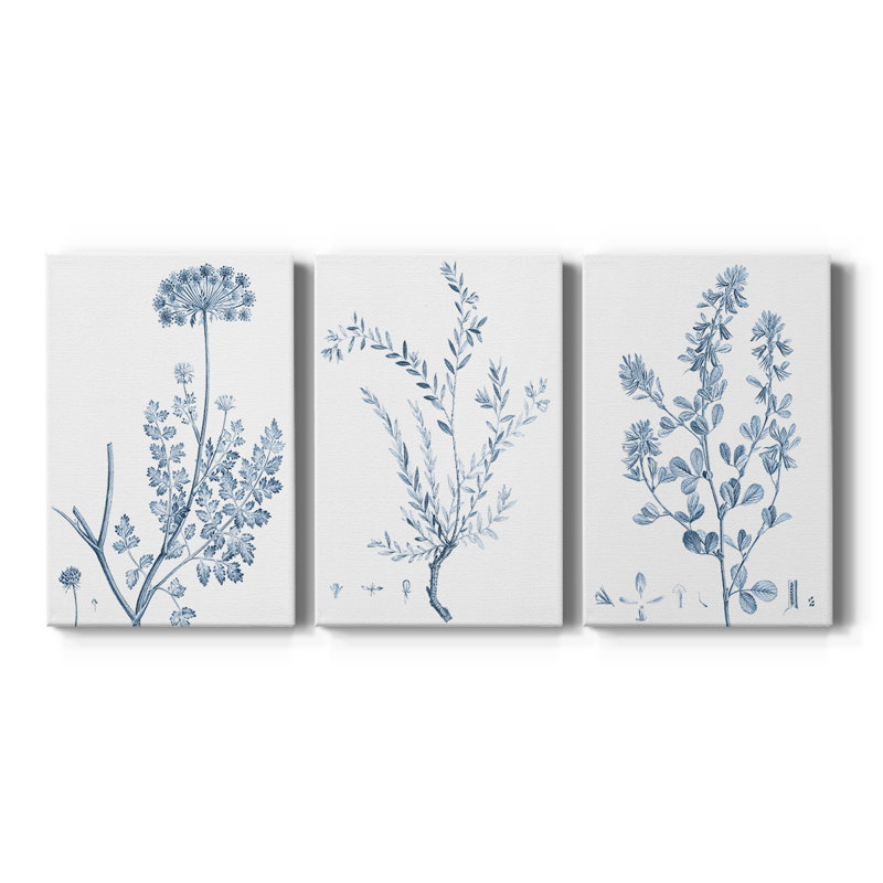 Antique Botanical in Blue V - Toile tendue avec châssis sur mesure - 3 pièces, H 12 po x l 24 po