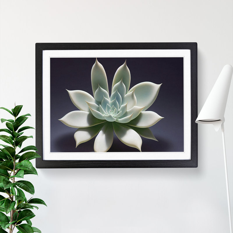 Exquisite Succulent Plant 1 Piece Single Picture Frame Wall Art, 25cm H x 34cm W x 2cm D, Black