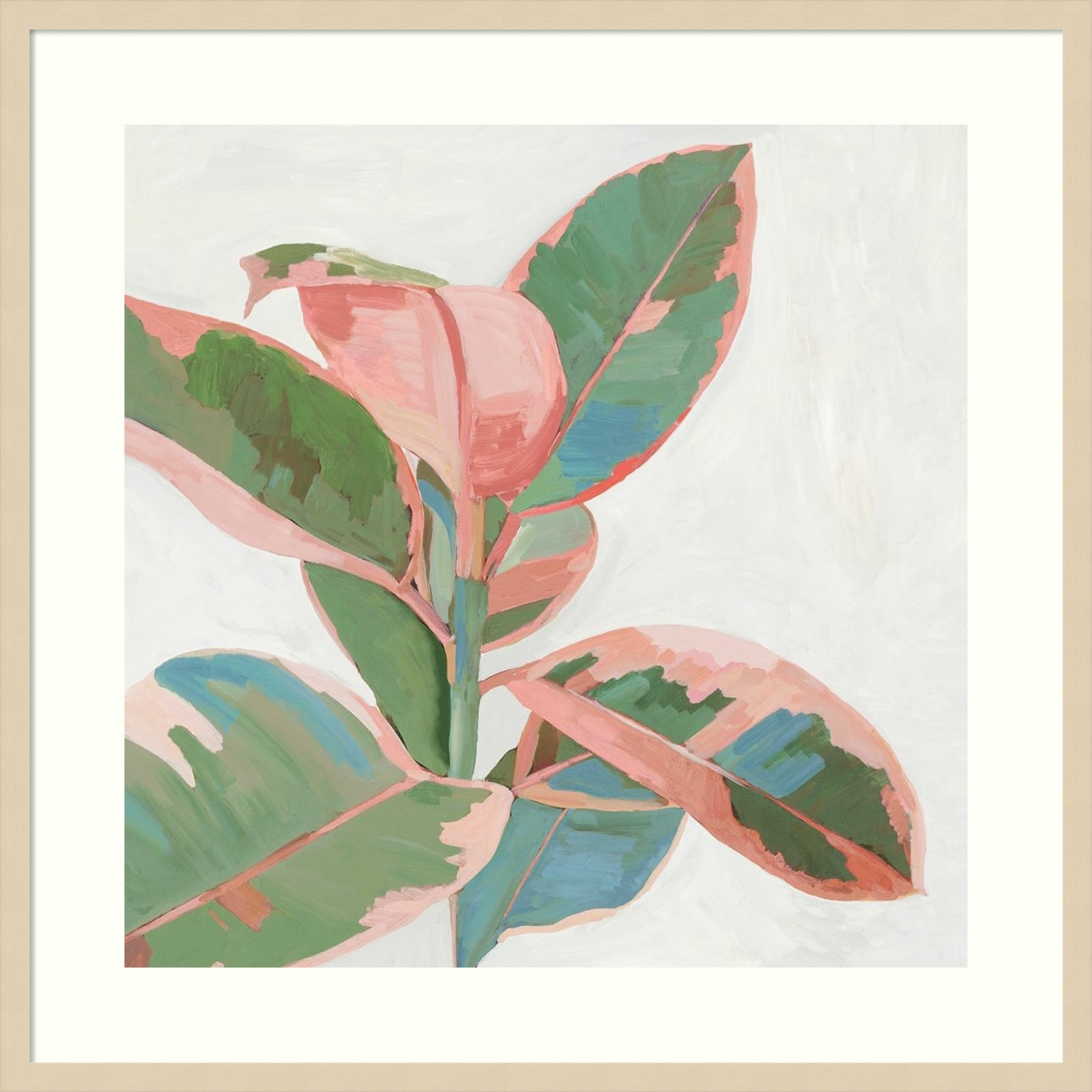 Pink Ficus I Print by Asia Jensen, 25" H x 25" W, Natural Framed Paper