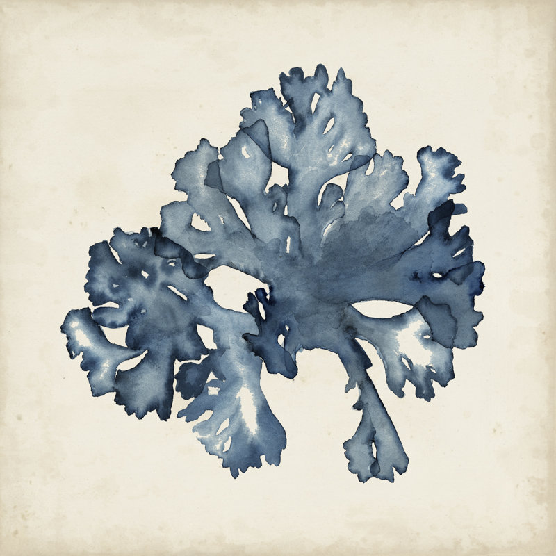 Seaweed Specimens IX by Naomi McCavitt - Wrapped Canvas Painting, 122cm H x 122cm W 