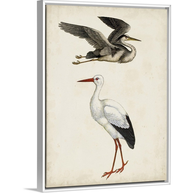 Art sur toile Egret and Heron Kids, H 24 po x l 18 po x P 1,2 po, Cadre pour toile flottant blanc