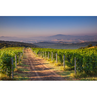 Chianti Vineyard, Tuscany, Italy - Wrapped Canvas Print