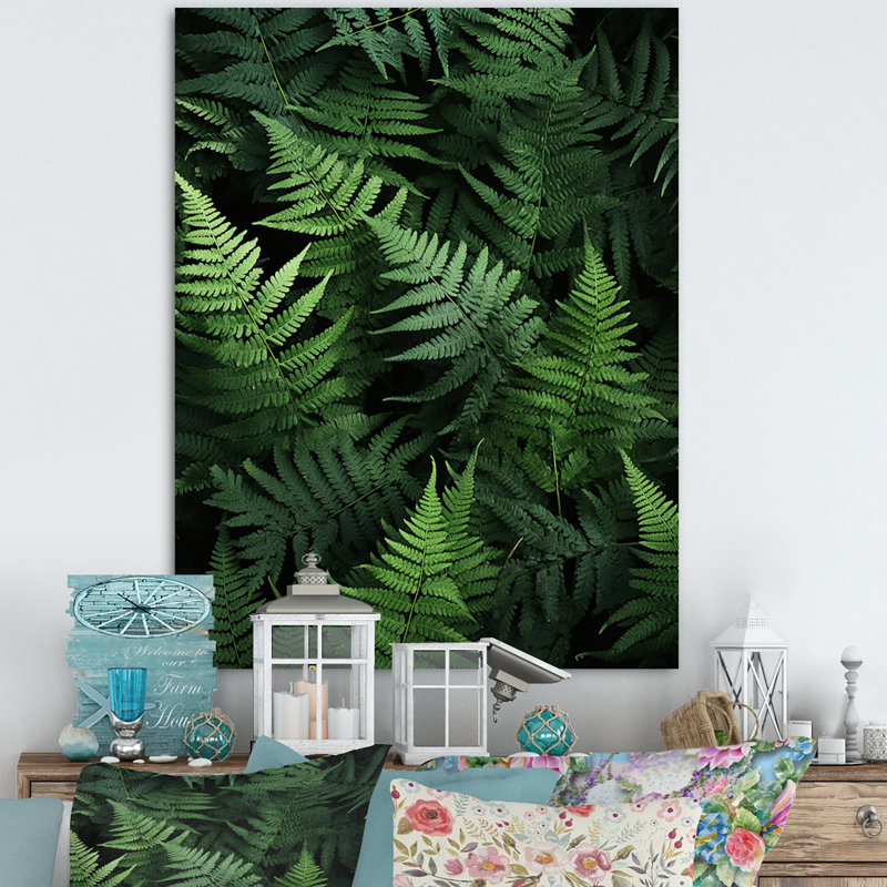 «Ferns Plant Whispering Fronds I», reproduction sur toile, H 44 po x l 34 po x P 1,5 po