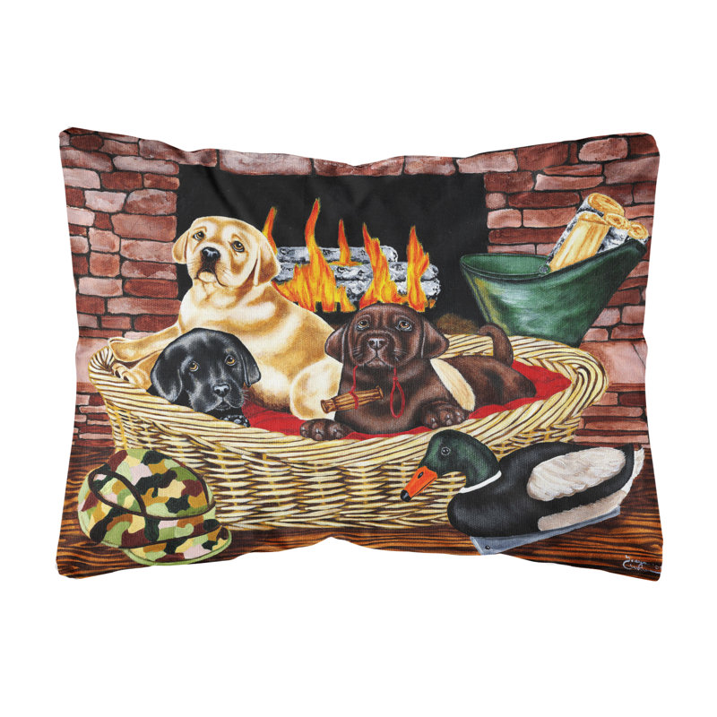  Coussin décoratif intérieur / extérieur en tissu Labrador