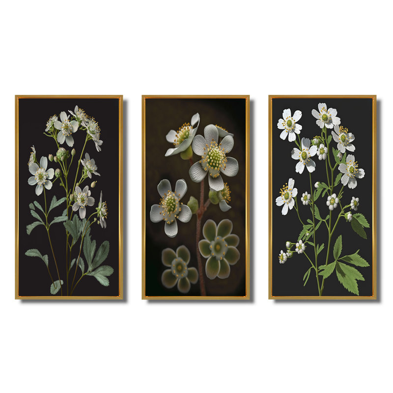 «Blossoming Diphylleia Grayi On Black», 3 pièces, Or, H 32 po x l 48 po