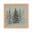 Nature Inspired "Serene Grove" Canvas Wall Art By -519413138-525375429-525375431