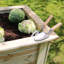 Angelo Wood Raised Garden Bed