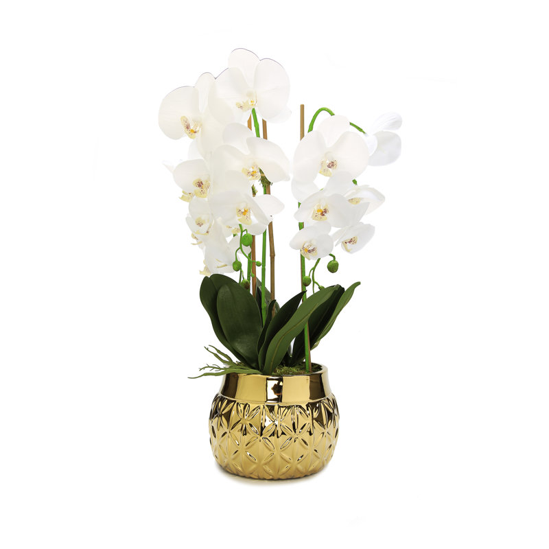 Centre de table orchidée brillante dans un vase