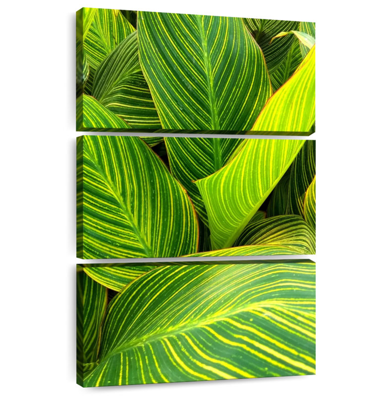 Feuilles vertes rayées, H 57 po x l 36 po