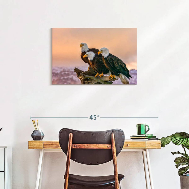 Brampt Three American Bald Eagles, 20" H x 30" W