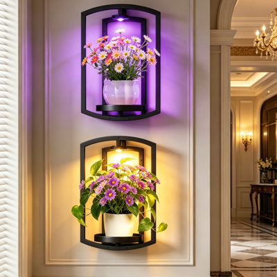 Paquet de 2 porte-plantes muraux avec lumières sans fil à distance - étagère à plantes double cadre noir, 13 couleurs et minuterie rechargeables, peut supporter 25 lb, pot de fleurs mural pour le salon intérieur et extérieur