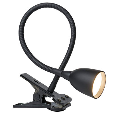 Liberty Hill Adjustable Clip On Lamp