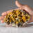 Wulfenite from Touissit Mine, 21 km SSE of Oujda, Jerada Province, Oriental, Morocco