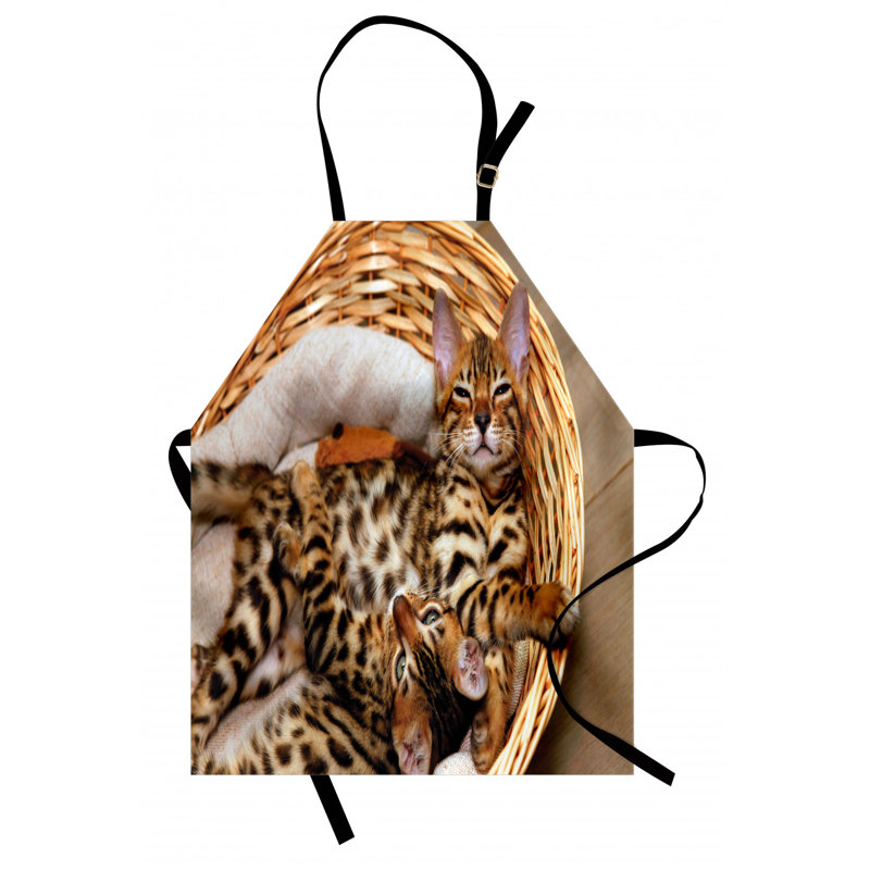 Tablier chat