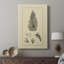 Arbor Study I - Gallery Cavas-1102286982