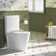  Modern One Piece Toilet, 1.1/1.6 GPF Elongated Dual Flush Toilet with Soft Closing Seat, Standard Modern Toilet for Bathroom, 12" Rough-In