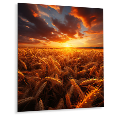 " Golden Fields A Mesmerizing "