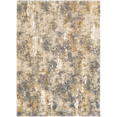 Blaney Oriental Indoor Rug