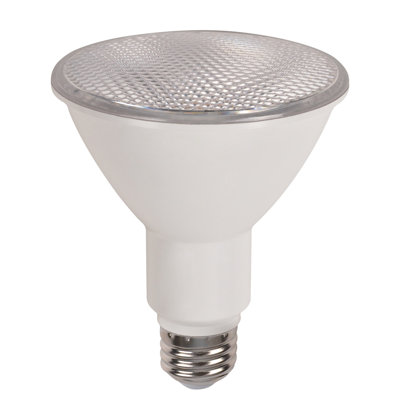11 W PAR30 E26/Medium (Standard) LED Smart Bulb