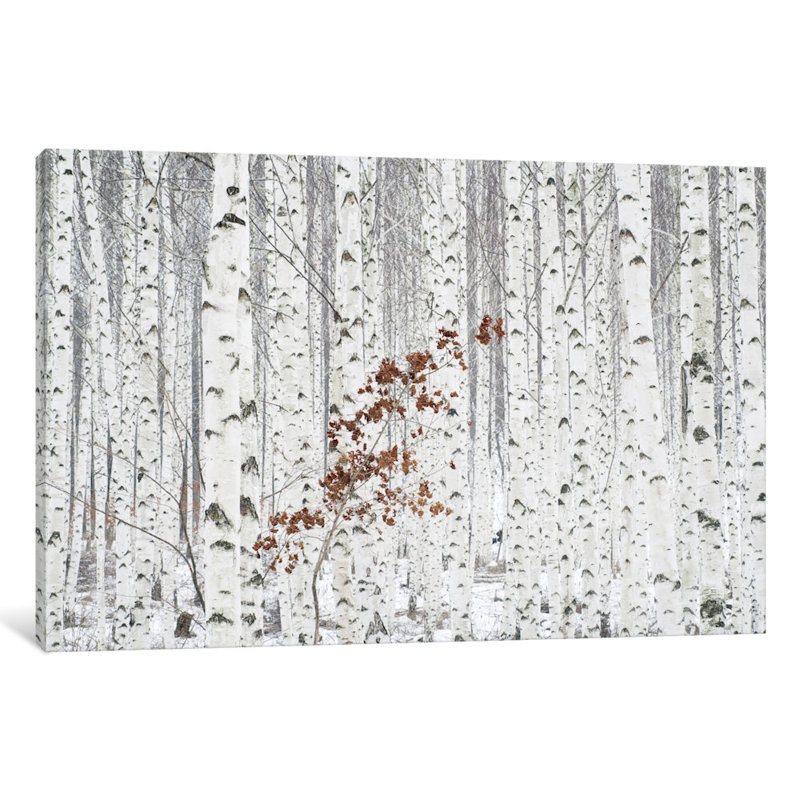 « from white », impression sur toile tendue, H 18 po x l 26 po x P 1,5 po