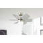 Casen 76cm Ceiling Fan with Light Kit