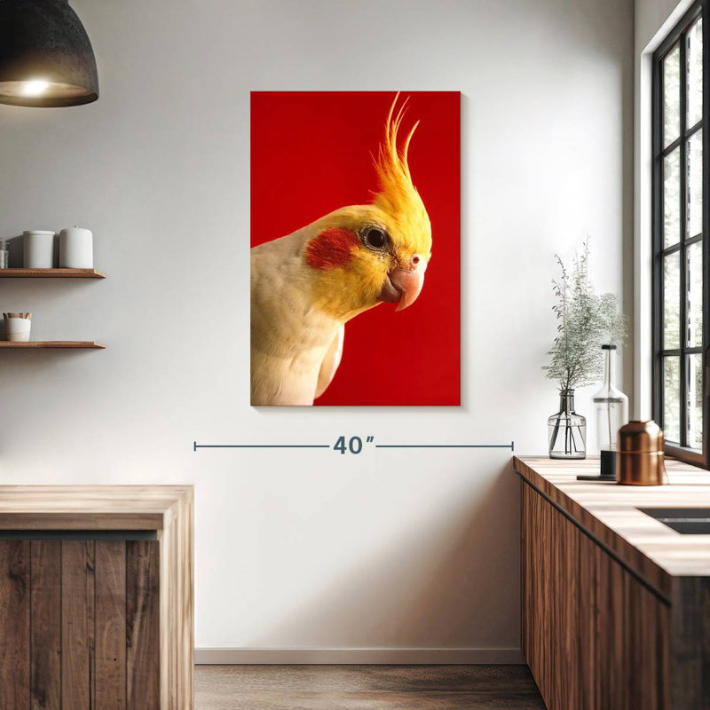 Brampt Lutino Cockatiel, 39" H x 26" W