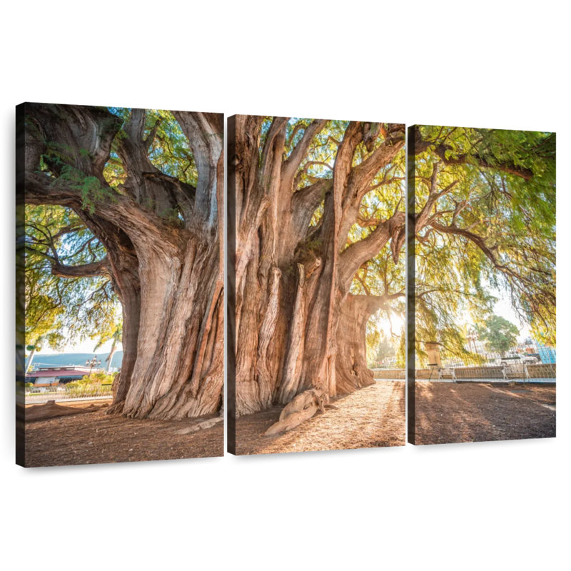 Harnek Oaxaca Tree, 24" H x 38" W