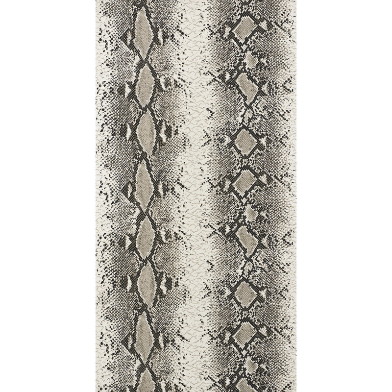 Papier peint charmeur de serpent, Cendre
