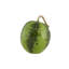 Watermelon Earthenware Tureen
