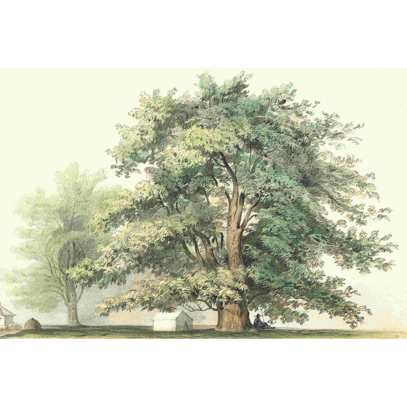 " Majestic Oak ", 8" H x 12" W  