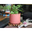 Mini pot de fleurs en céramique émaillée avec peigne et brosse - Intérieur/Extérieur-147826229