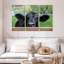 Vache Nosy Ranch-107988238