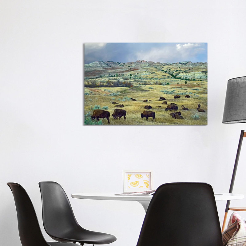 American Bison Herd Grazing On Shortgrass Praire Near Scoria Point, Theodore Roosevelt National Park, North Dakota I by Tim Fitzharris - Wrapped Canvas Print