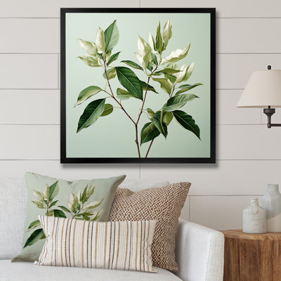 Menthe fraîche, minimalisme, feuilles, sérénité